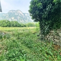 Photo numero 47605797 du bien UBI475077506
